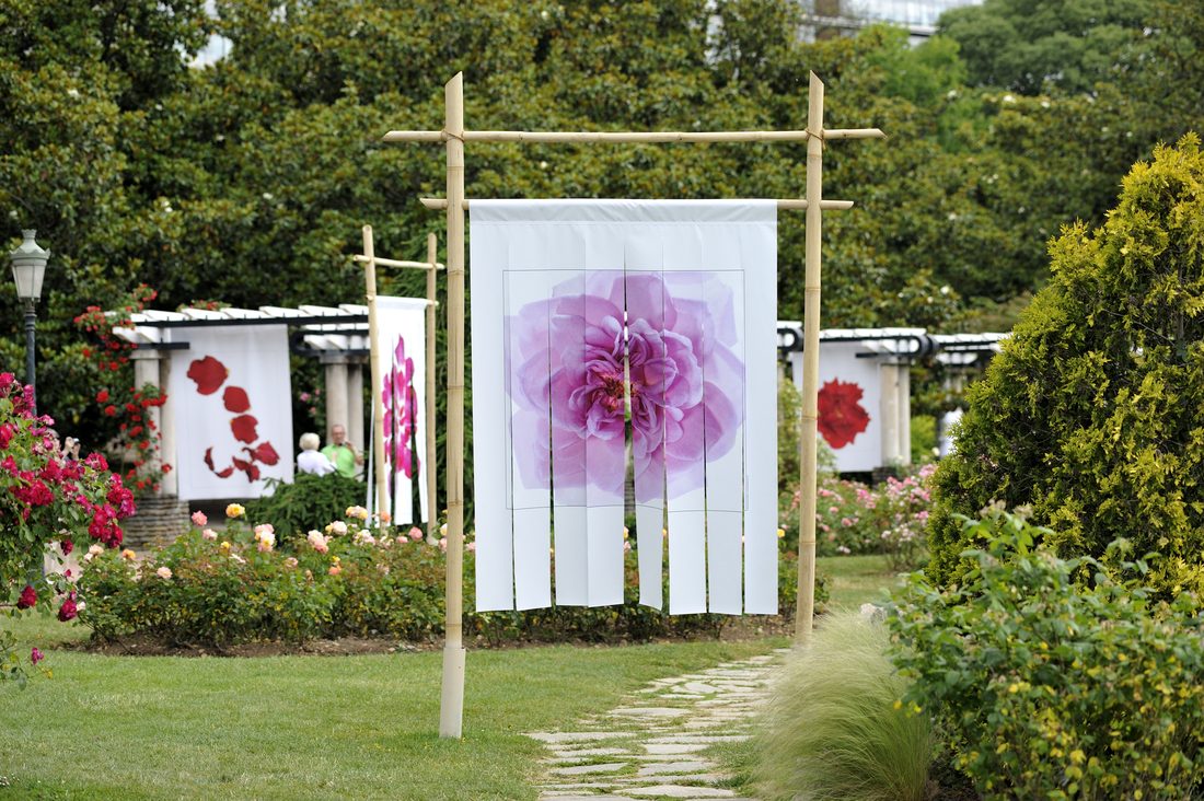 Exposition artistique en plein air avec toiles imprimées de fleurs suspendues dans un jardin.