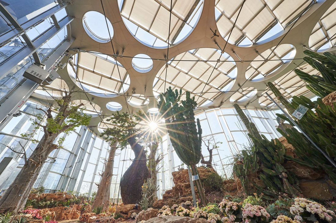 Curved glass façades of the Greenhouse Garden with Soltis 92 solar protection at Shanghai Expo Culture Park.