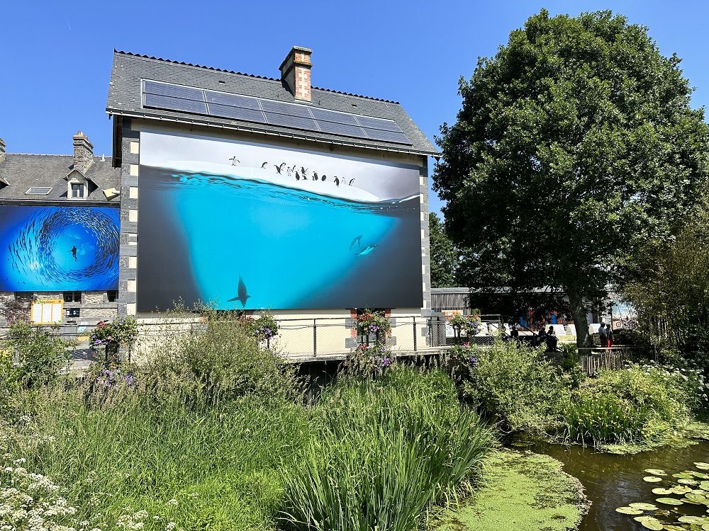 Photographie sous-marine grand format exposée en extérieur au Festival Photo de La Gacilly sur toile Serge Ferrari