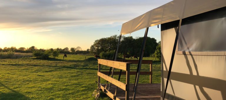 Flexlight Natome 500