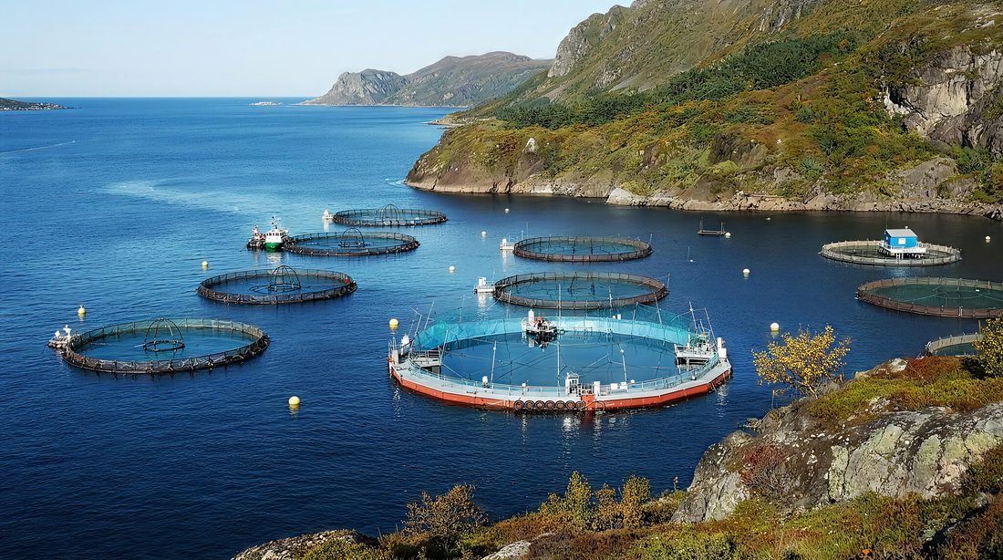 Ferme aquacole en mer avec cages circulaires et filets textiles de protection