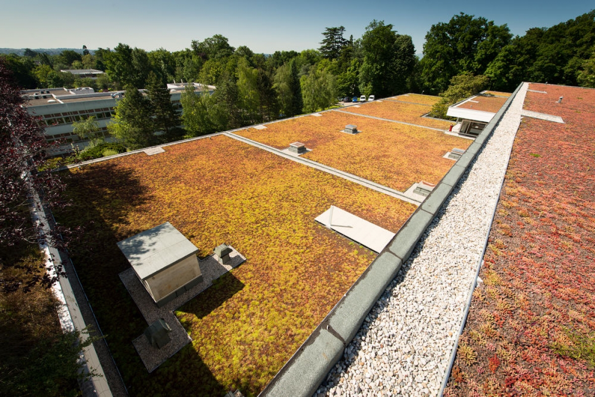 Texyloop green roof