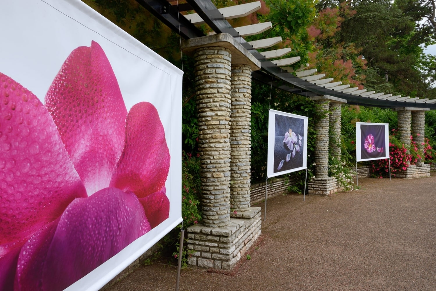 法国“玫瑰和风"展览喷绘横幅