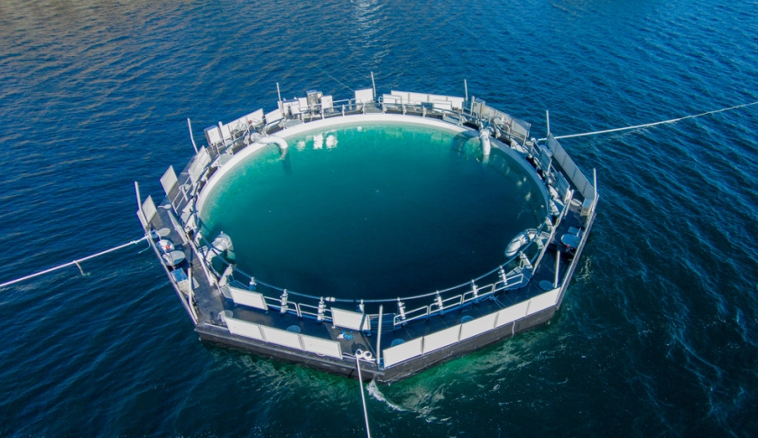 Biobrane Aqua 2050 membrane for aquaculture