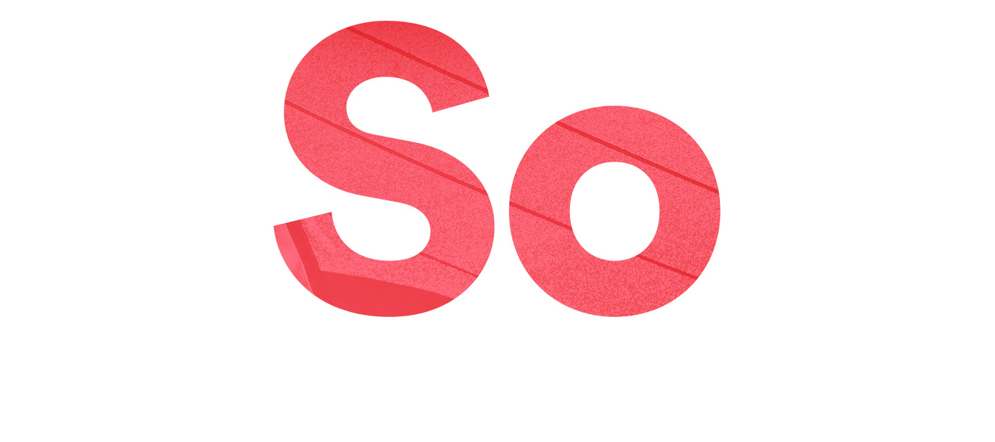Soltis Logo of Serge Ferrari 